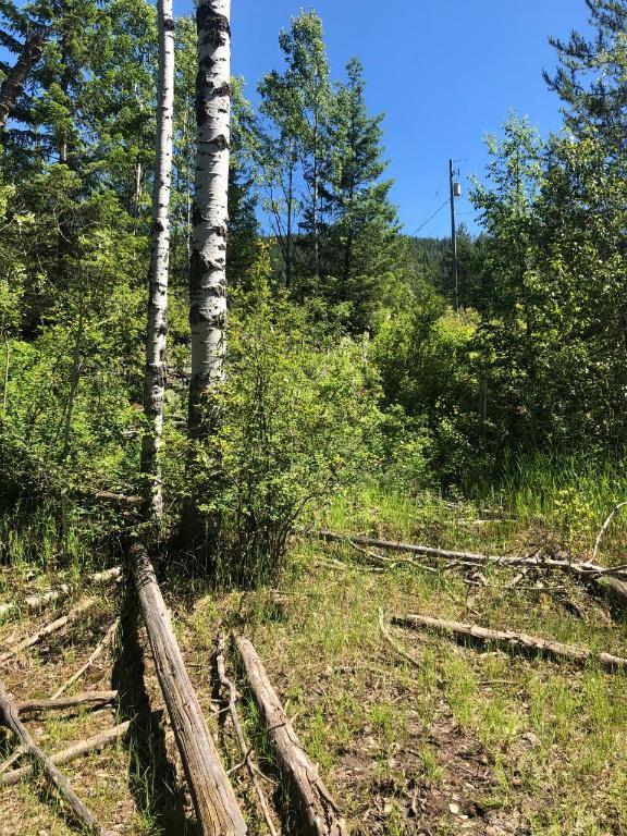 8045 95 Highway, Kingsgate, BC