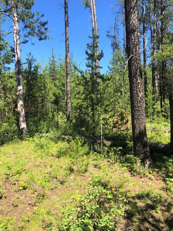 8045 95 Highway, Kingsgate, BC