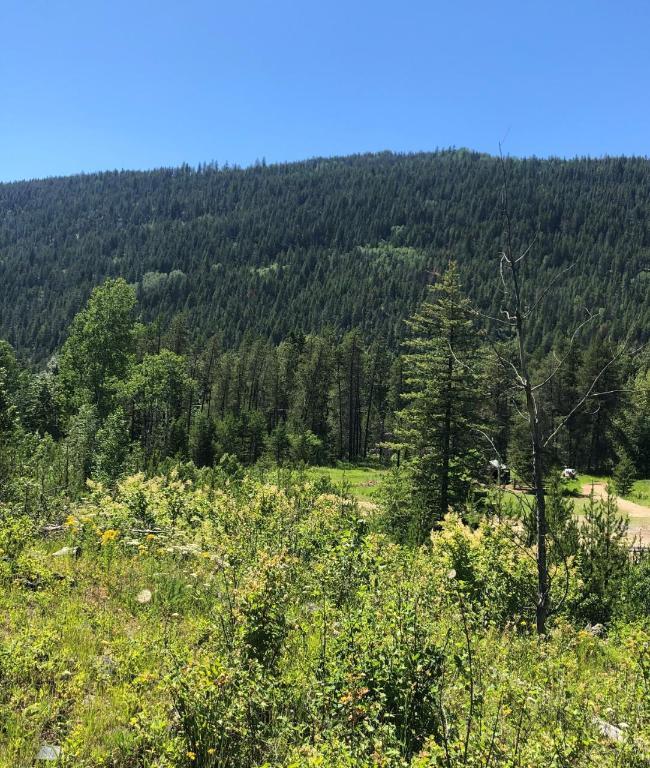 8045 95 Highway, Kingsgate, BC