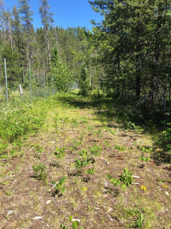 8045 95 Highway, Kingsgate, BC