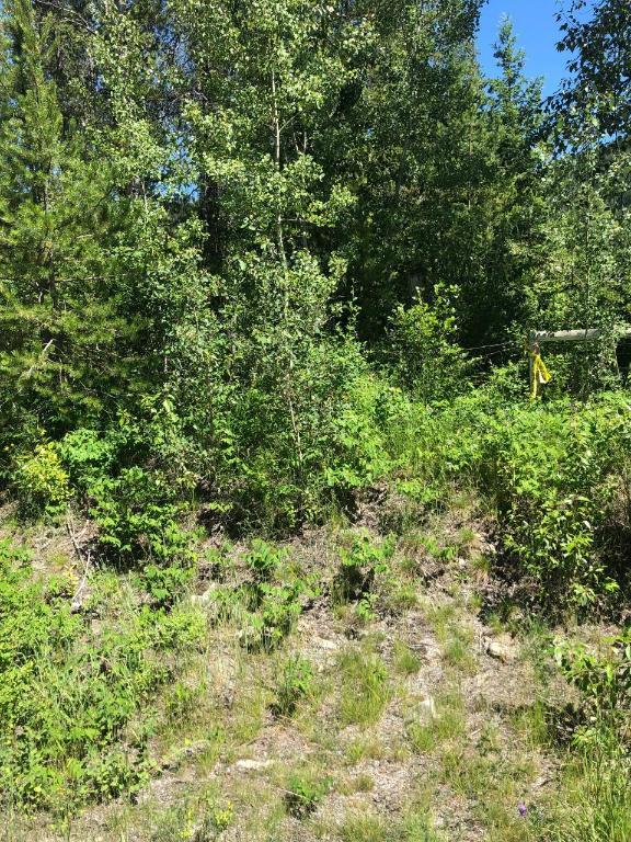 8045 95 Highway, Kingsgate, BC