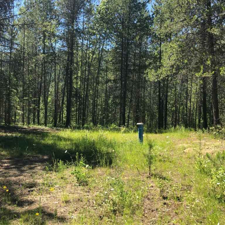 8045 95 Highway, Kingsgate, BC