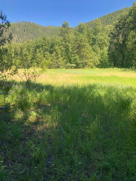 8045 95 Highway, Kingsgate, BC