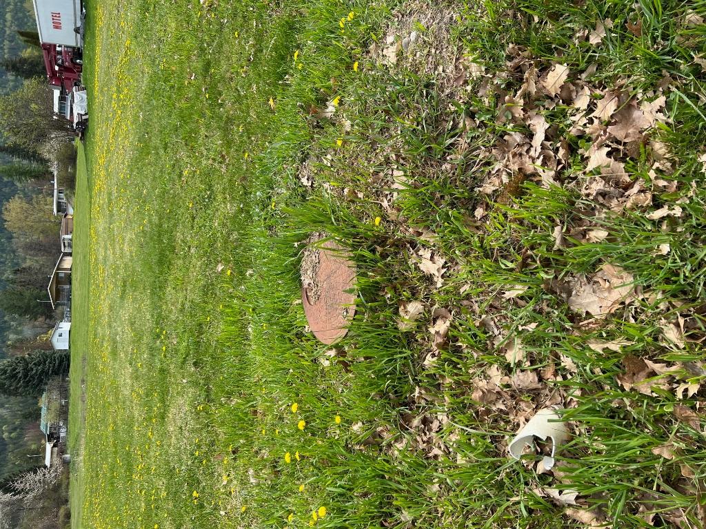 Lot H Oak Street, Fauquier, BC