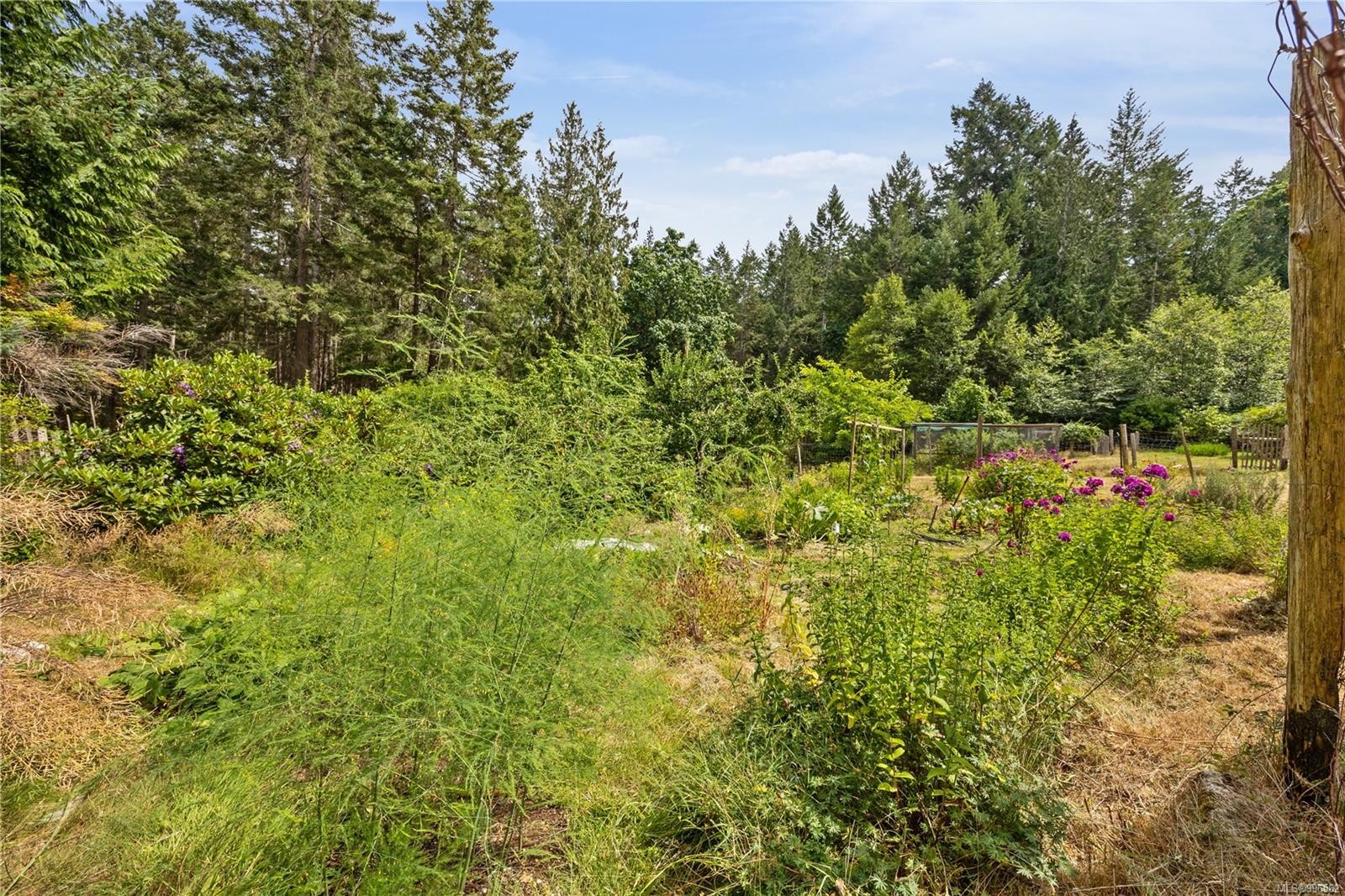 10 Windham Rd, Lasqueti Island, BC