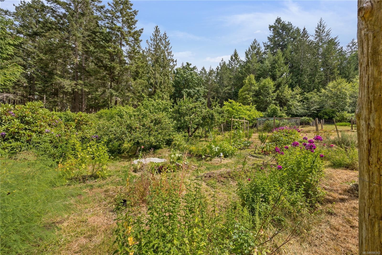 10 Windham Rd, Lasqueti Island, BC