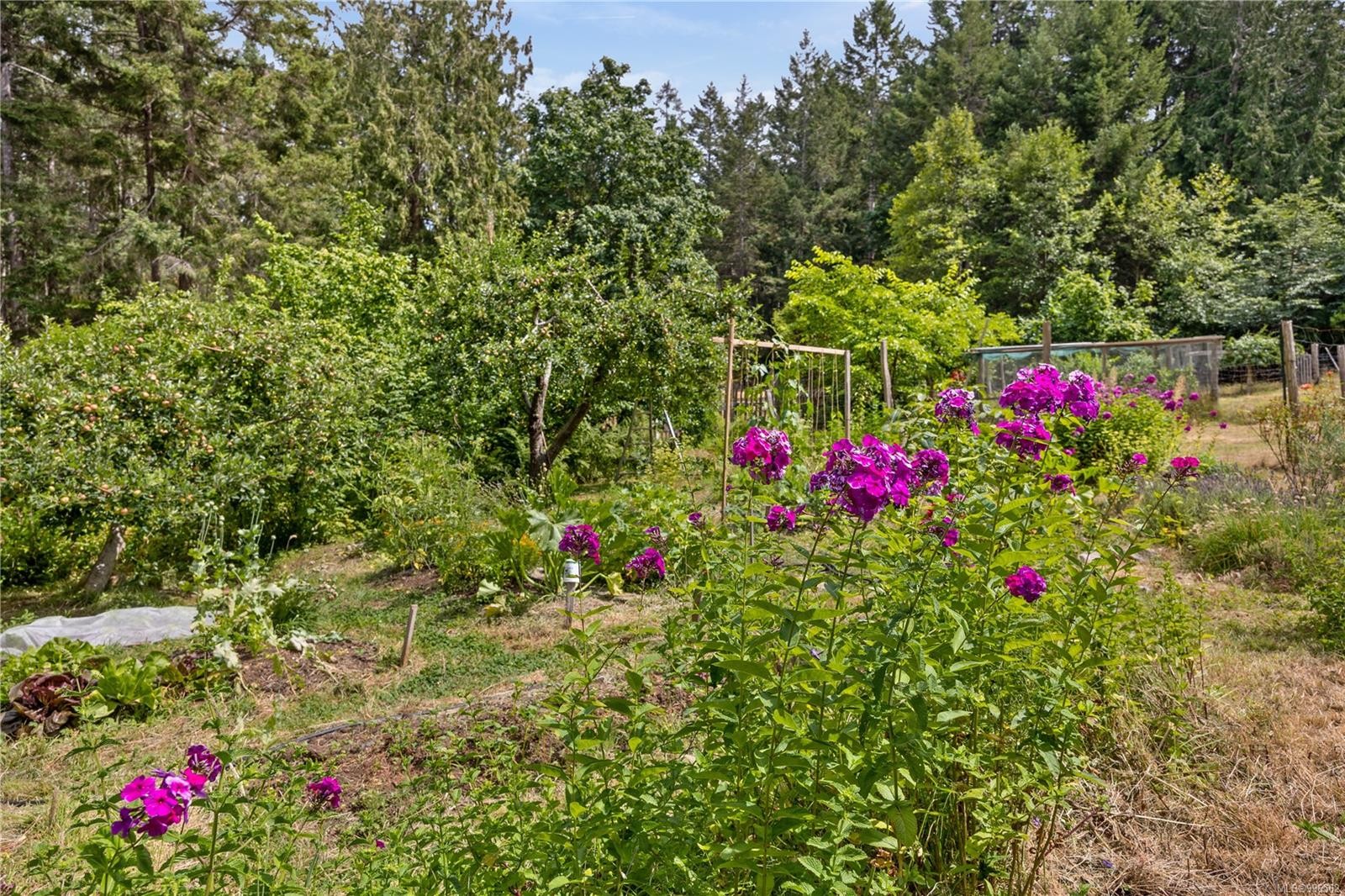 10 Windham Rd, Lasqueti Island, BC