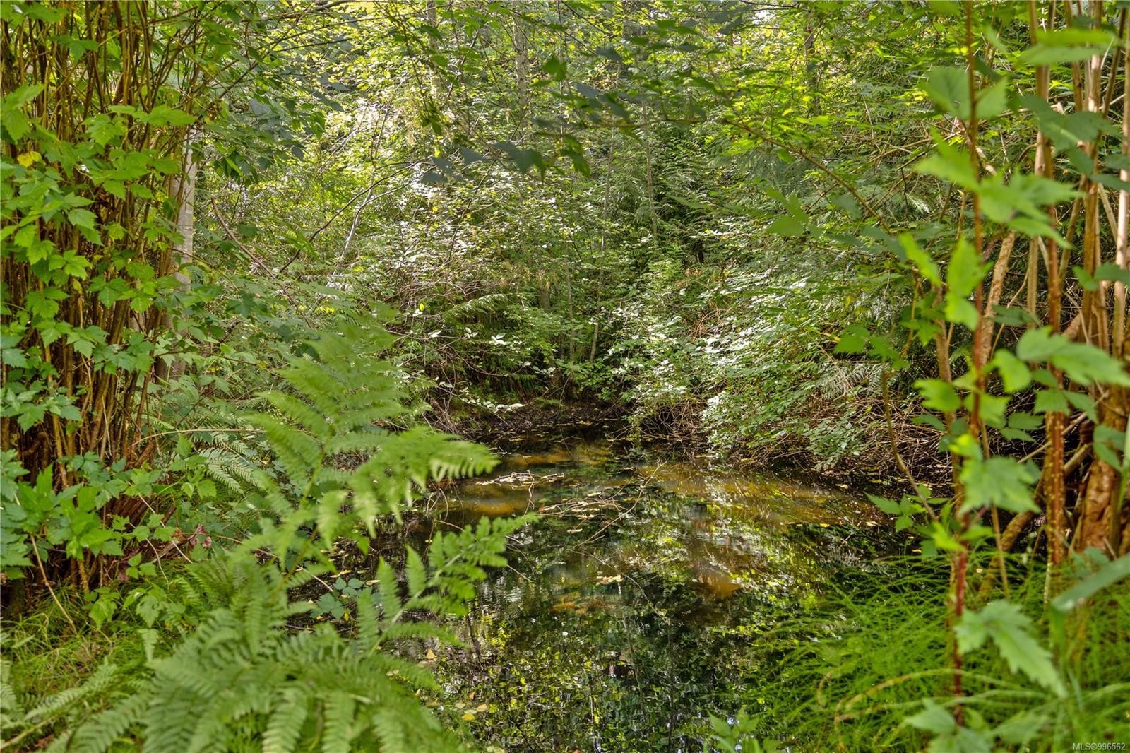 10 Windham Rd, Lasqueti Island, BC