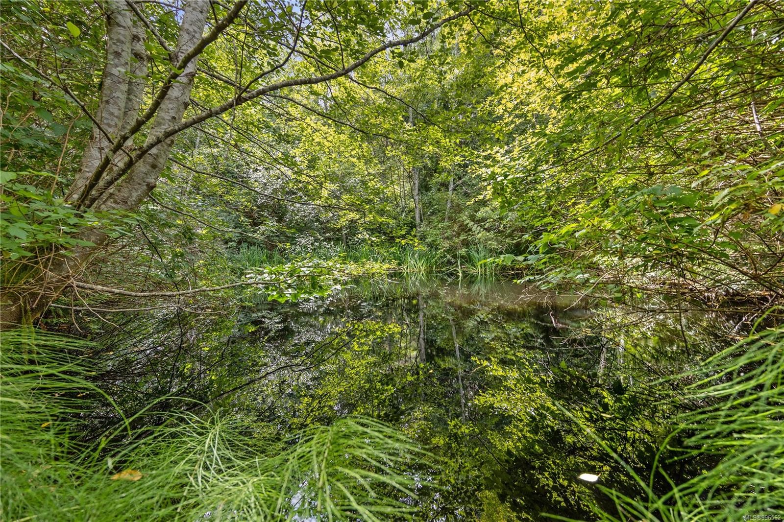 10 Windham Rd, Lasqueti Island, BC