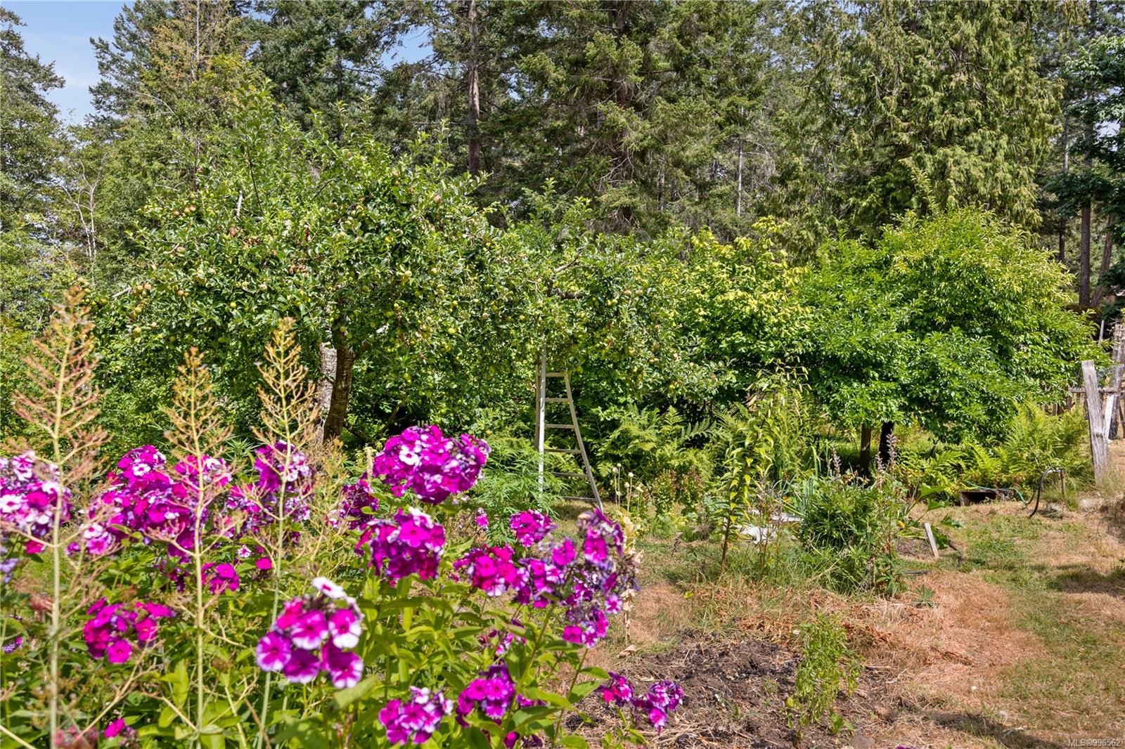 10 Windham Rd, Lasqueti Island, BC