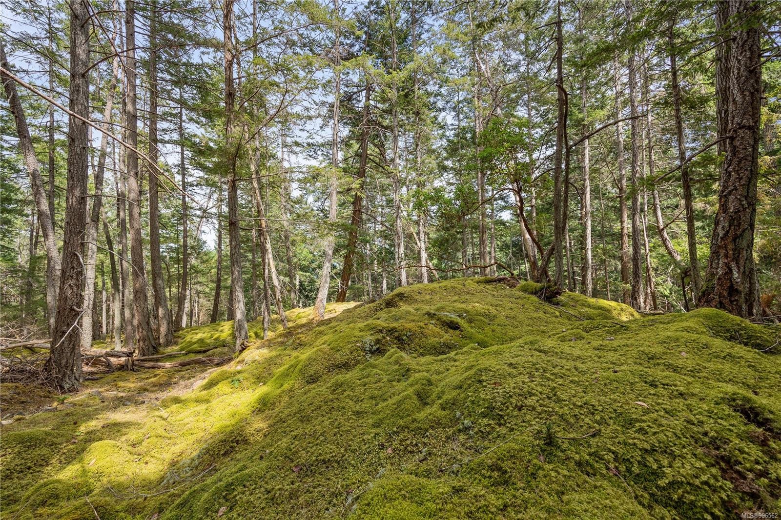 10 Windham Rd, Lasqueti Island, BC