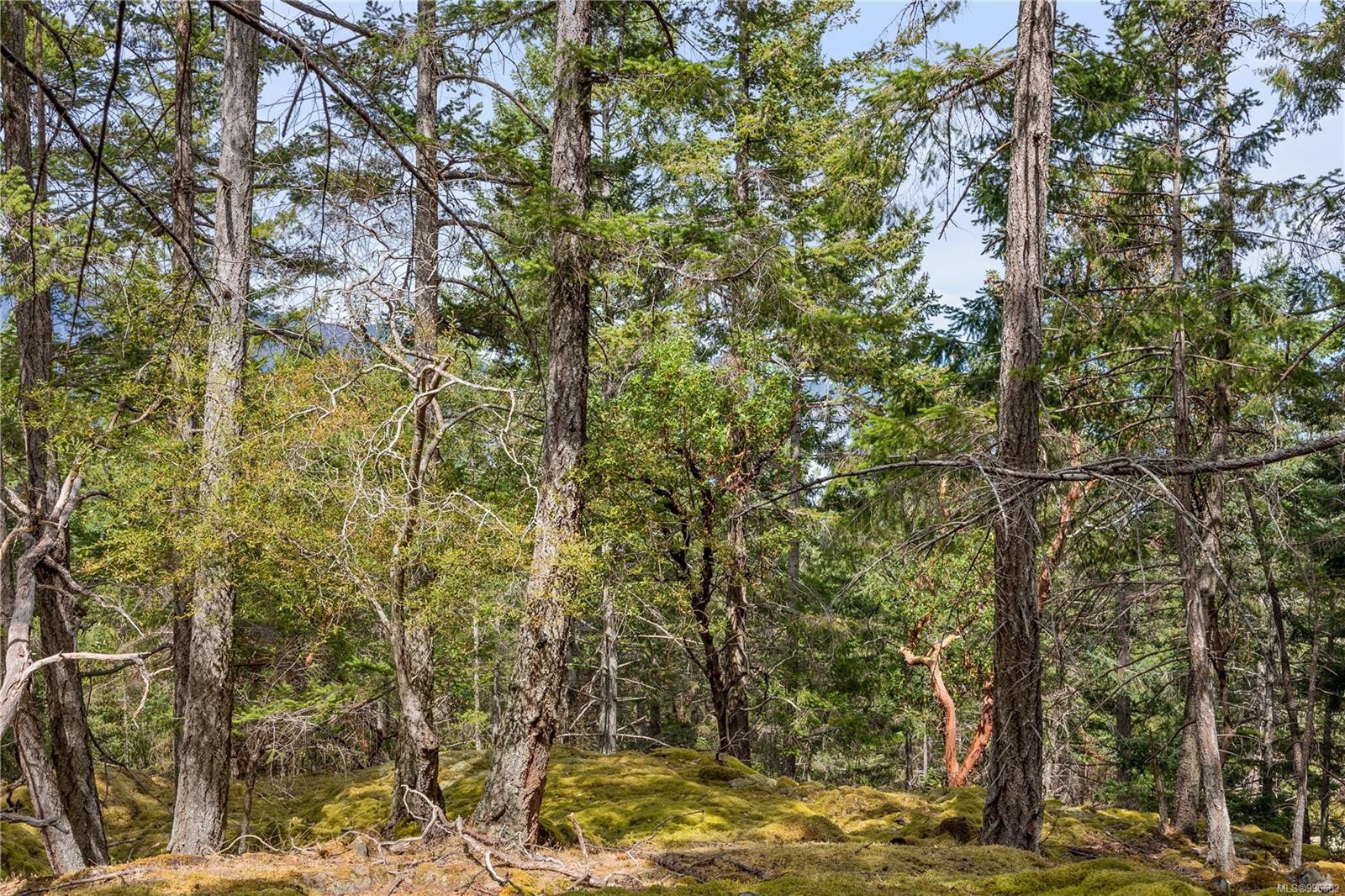 10 Windham Rd, Lasqueti Island, BC