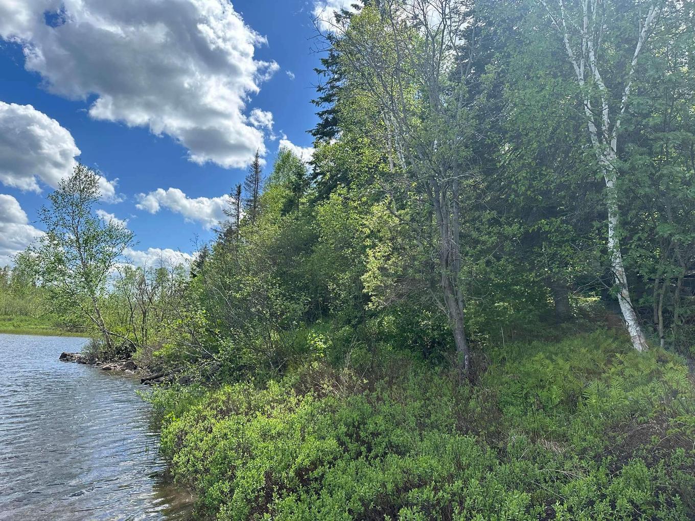 Waterfront - 176 Ch. De La Baie-Claire, La Macaza, QC