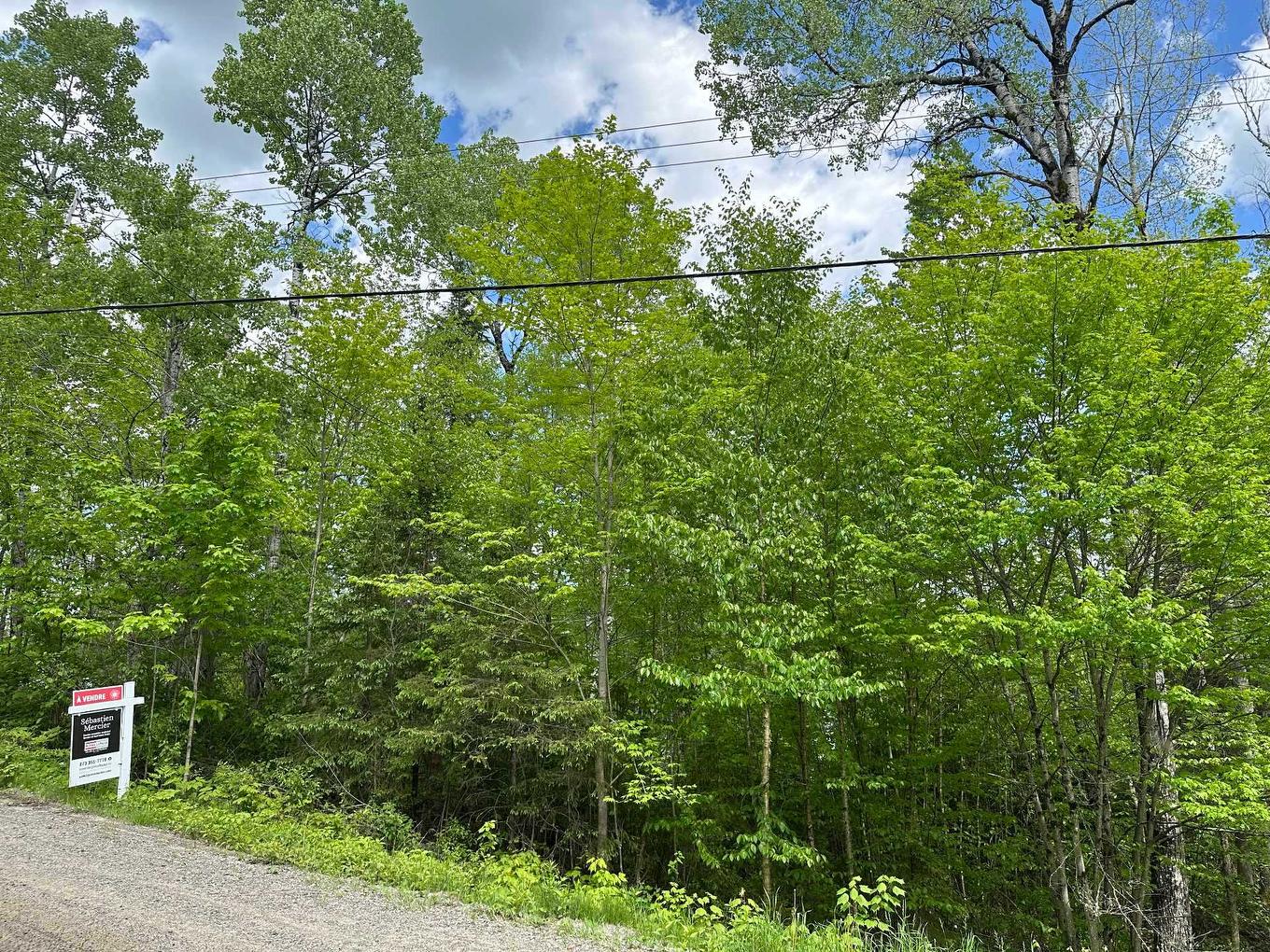 Land/Lot - 176 Ch. De La Baie-Claire, La Macaza, QC