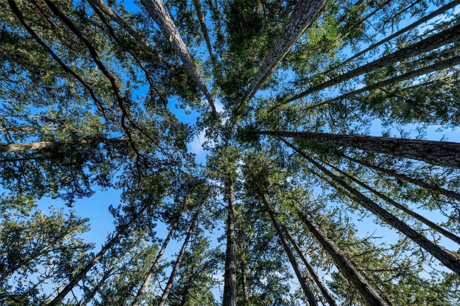 998 Gillespie Rd, Sooke, BC