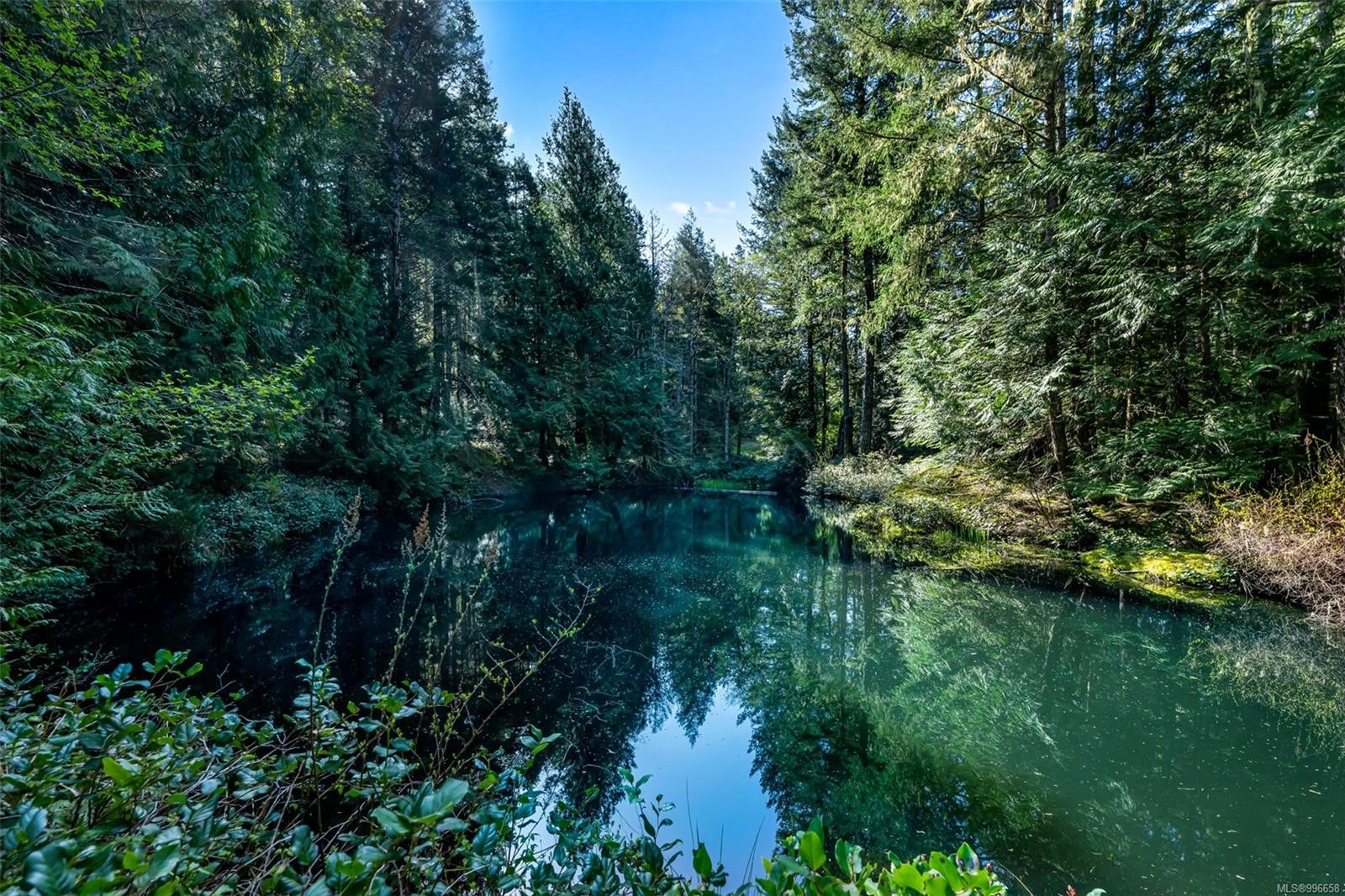 998 Gillespie Rd, Sooke, BC