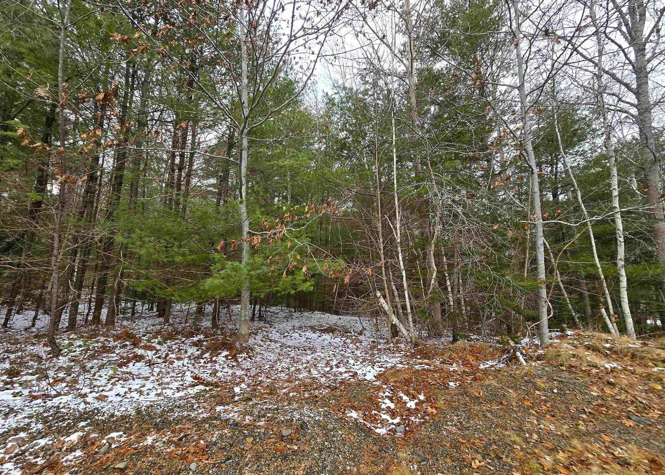 1568 Highway 331, Pleasantville, NS