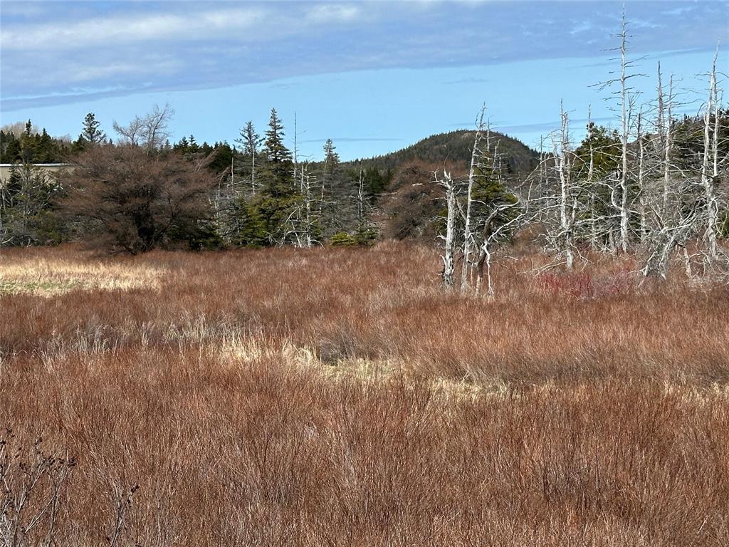 178-208 Conception Bay Highway, Avondale, NL