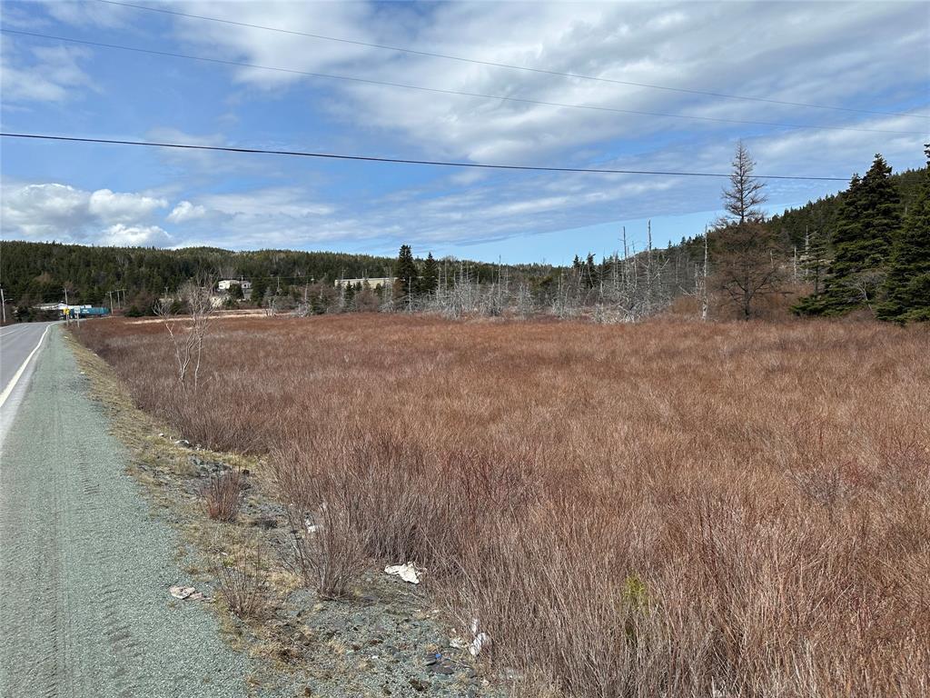 178-208 Conception Bay Highway, Avondale, NL