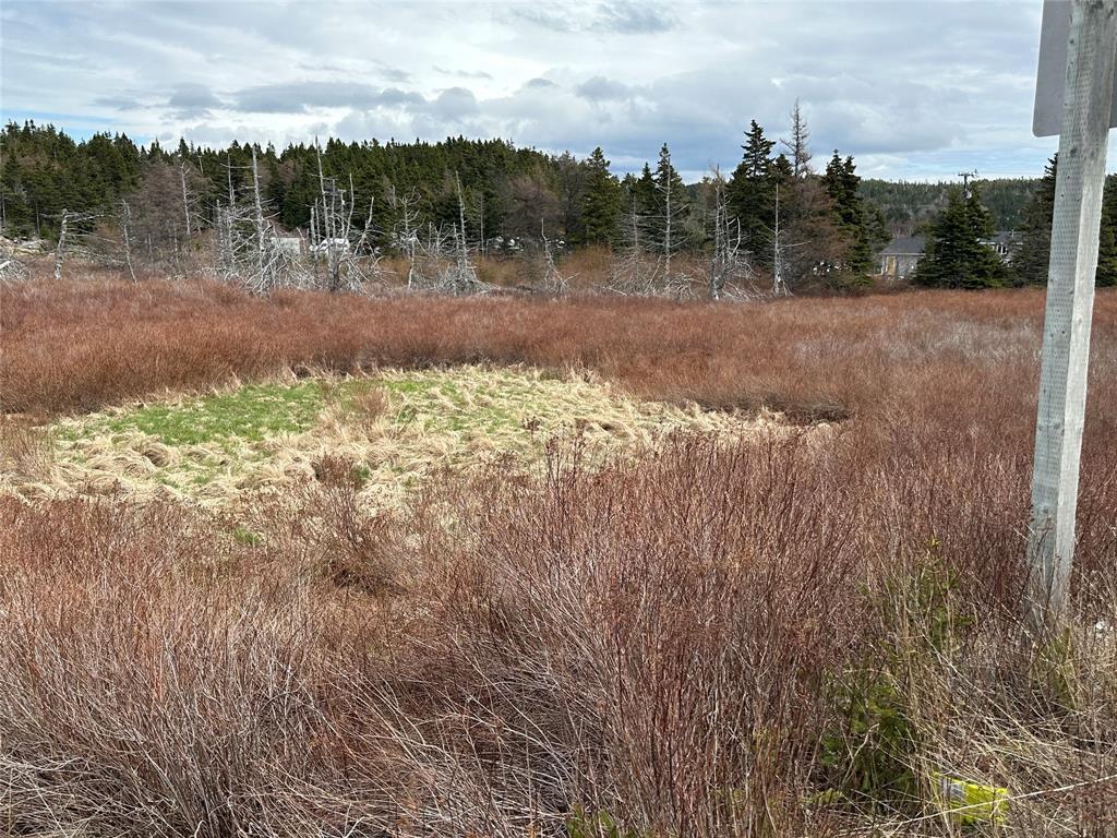 178-208 Conception Bay Highway, Avondale, NL