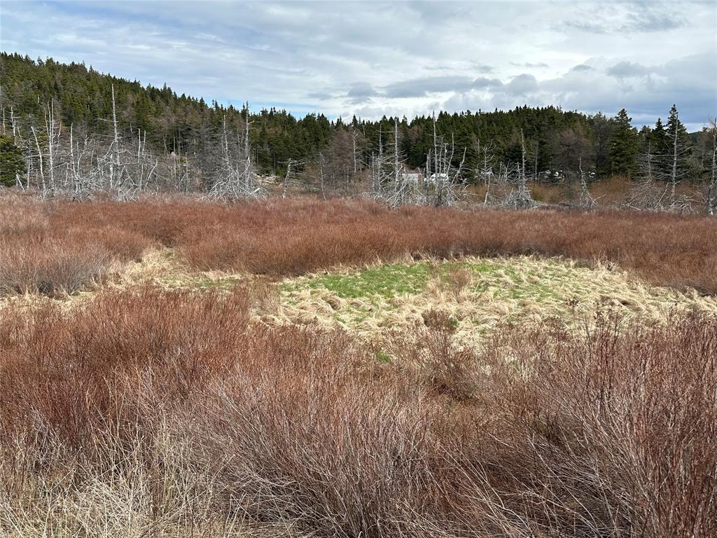 178-208 Conception Bay Highway, Avondale, NL