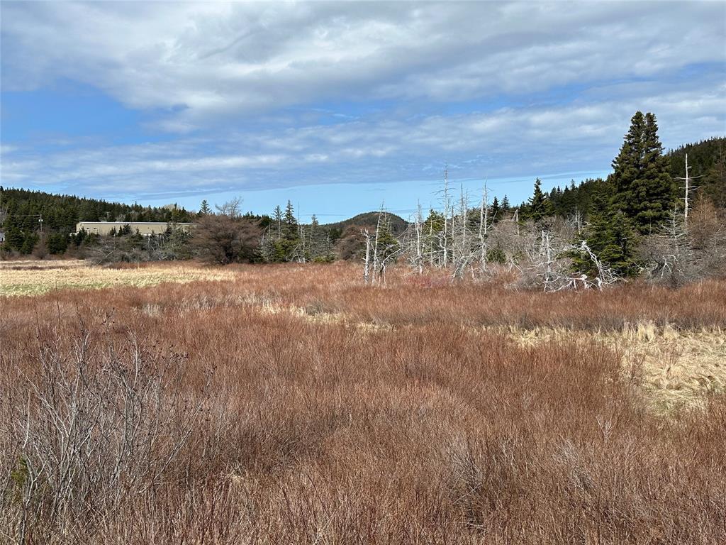 178-208 Conception Bay Highway, Avondale, NL