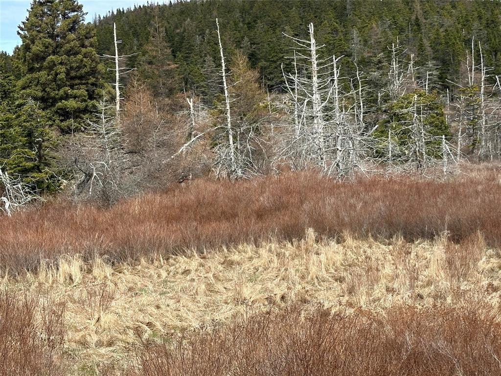 178-208 Conception Bay Highway, Avondale, NL