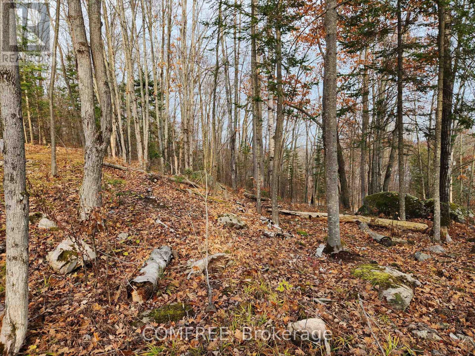 790 Mitchell Road, Madawaska Valley, ON