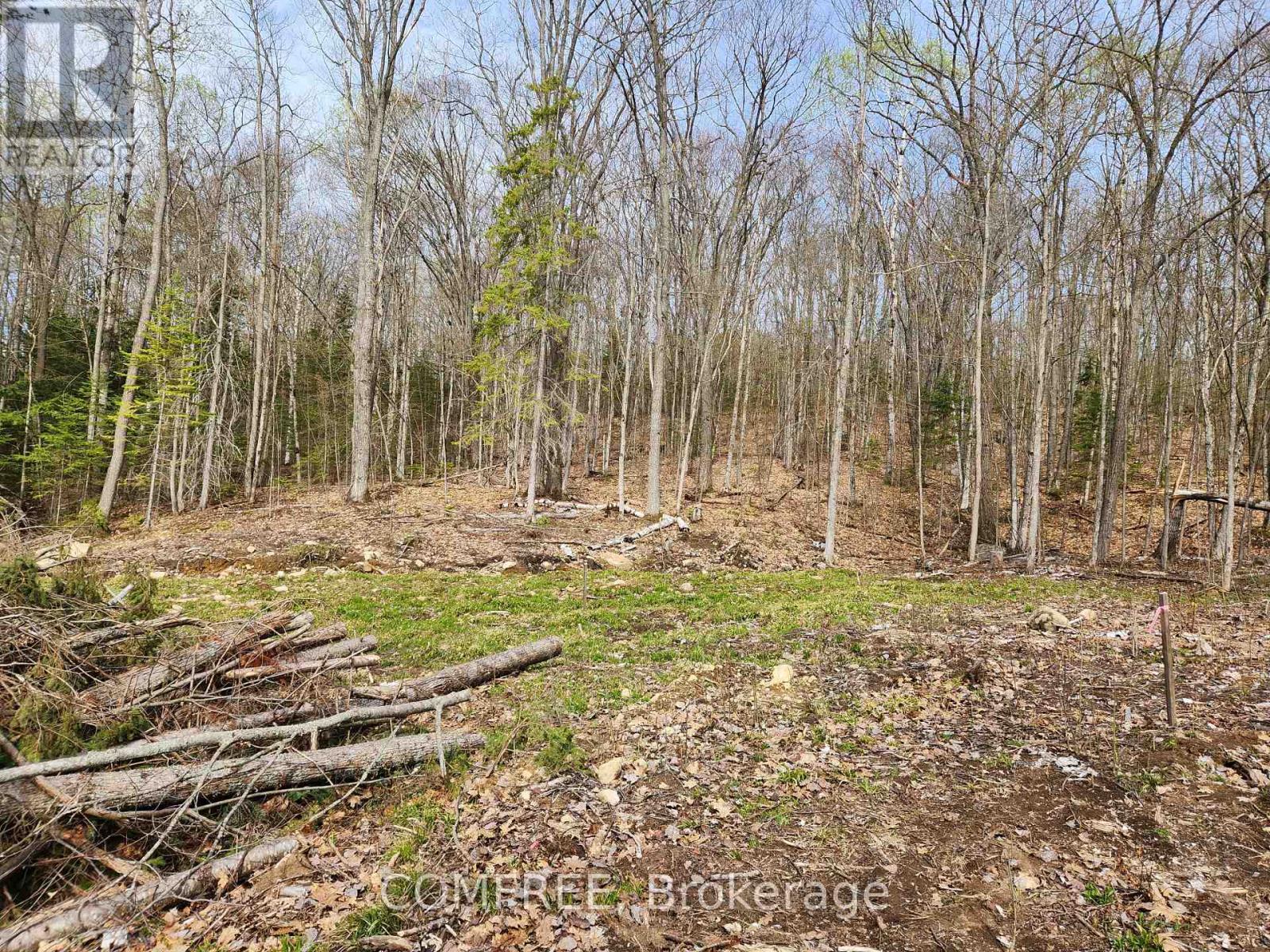 790 Mitchell Road, Madawaska Valley, ON