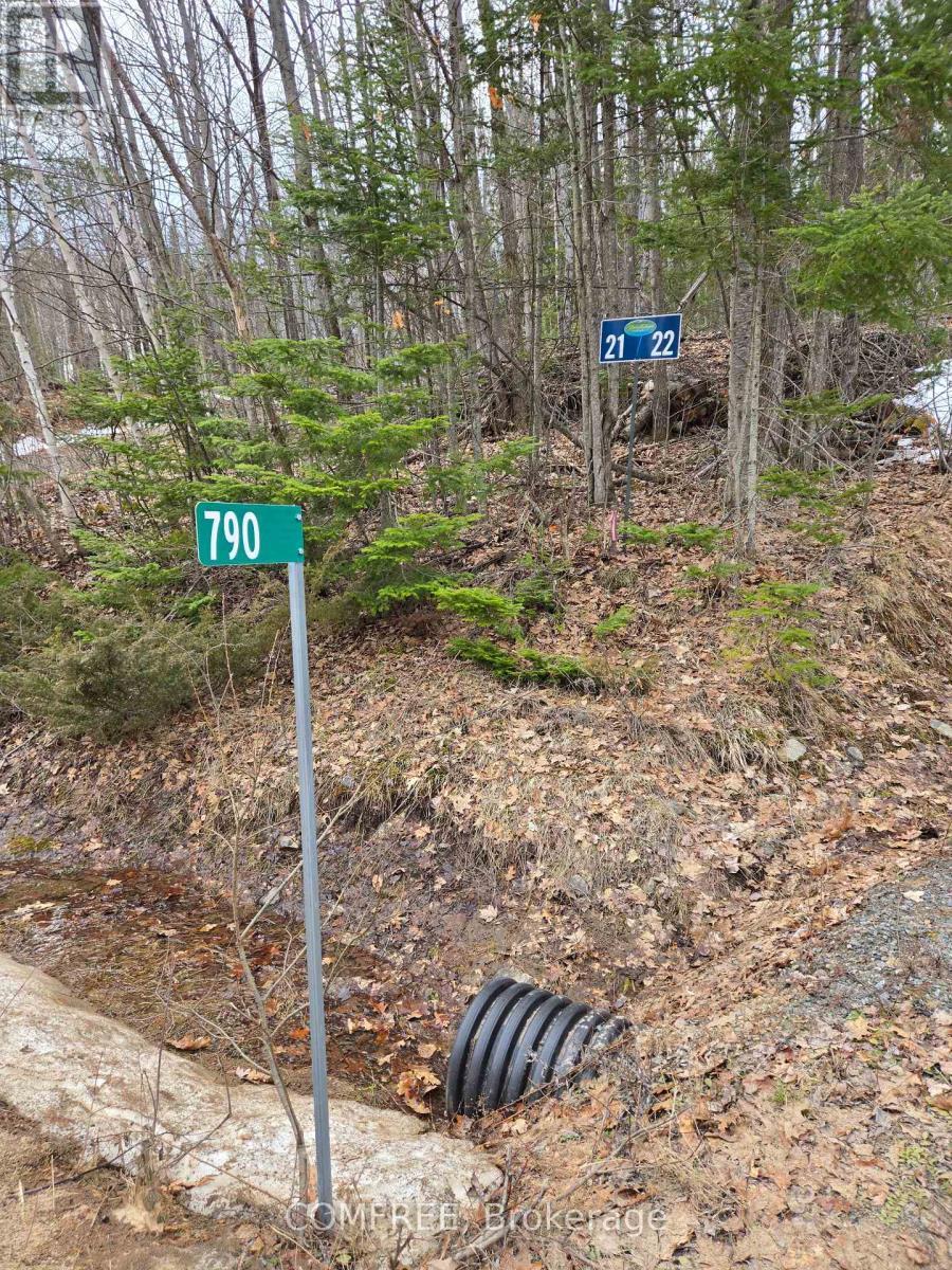 790 Mitchell Road, Madawaska Valley, ON