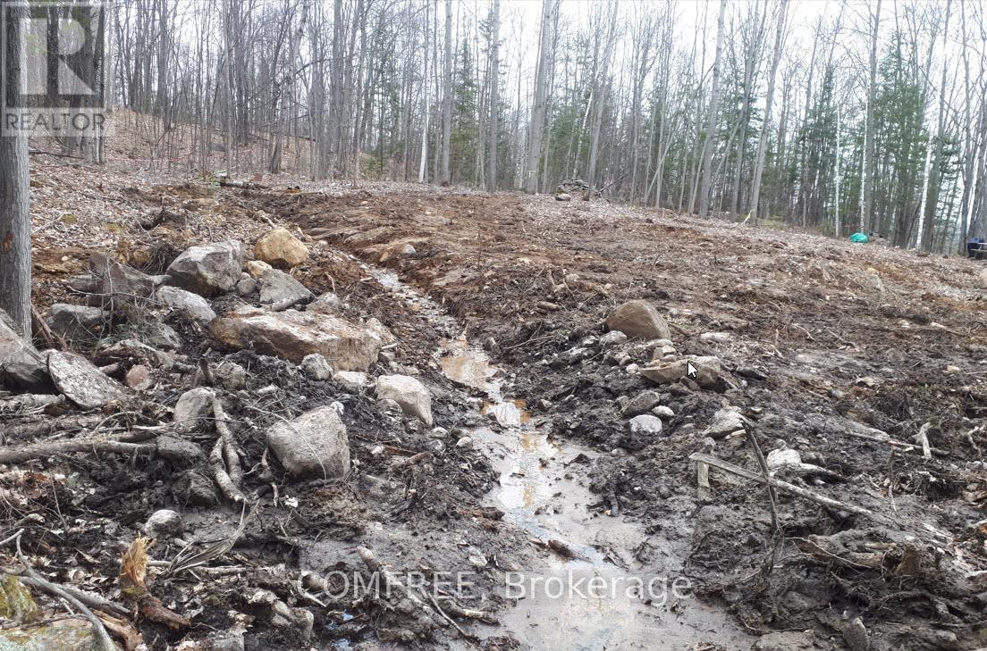 790 Mitchell Road, Madawaska Valley, ON