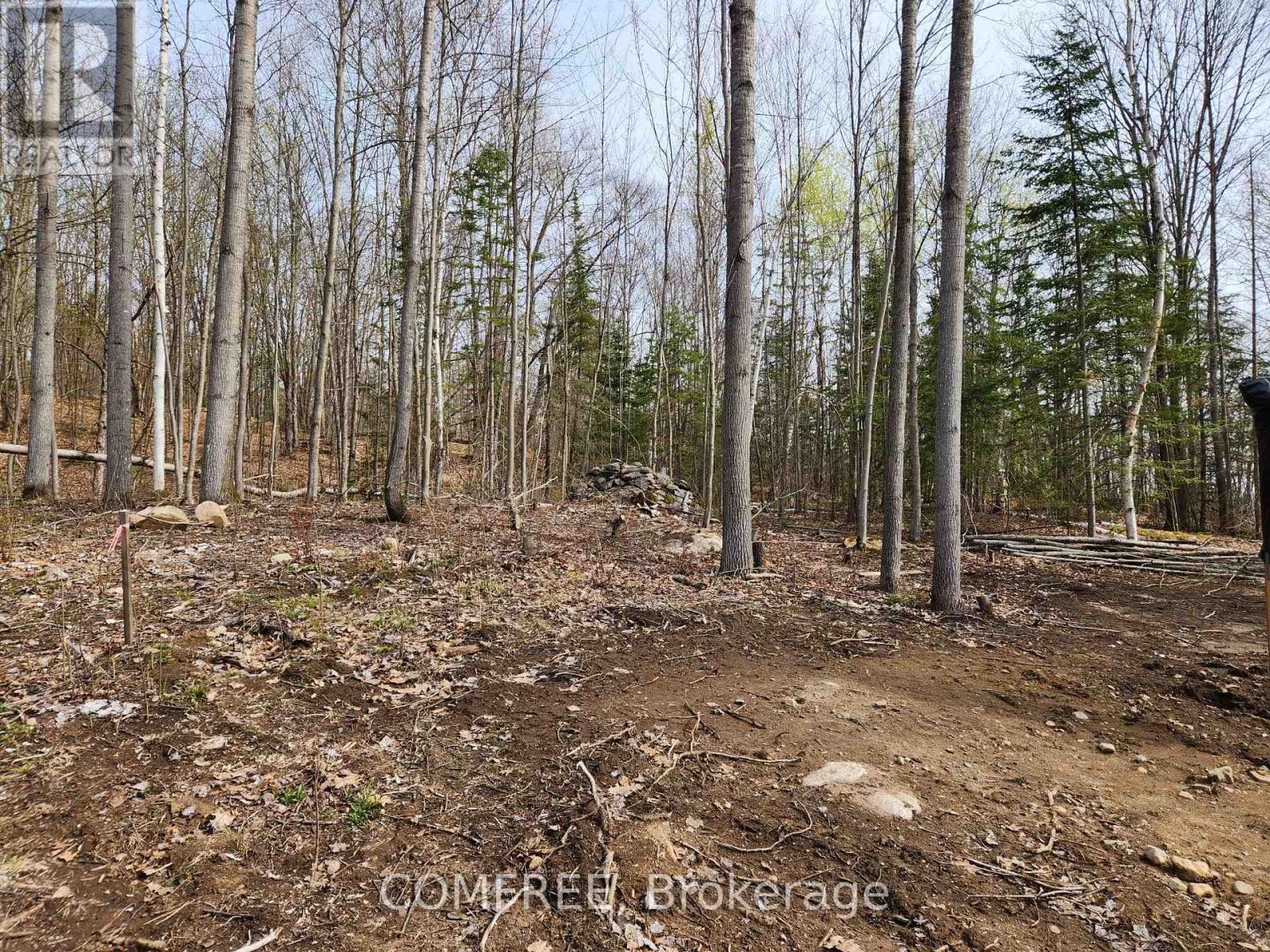 790 Mitchell Road, Madawaska Valley, ON