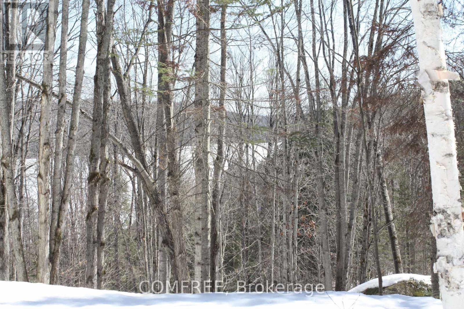 790 Mitchell Road, Madawaska Valley, ON