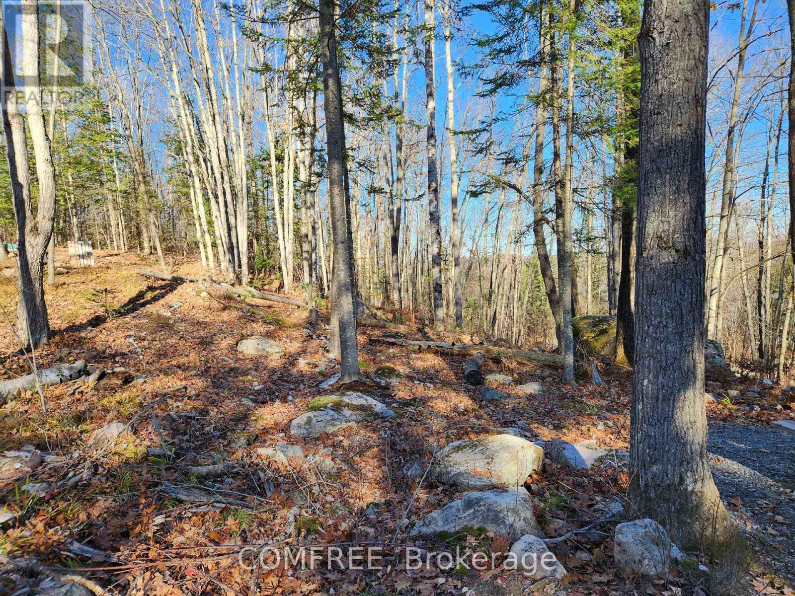 790 Mitchell Road, Madawaska Valley, ON