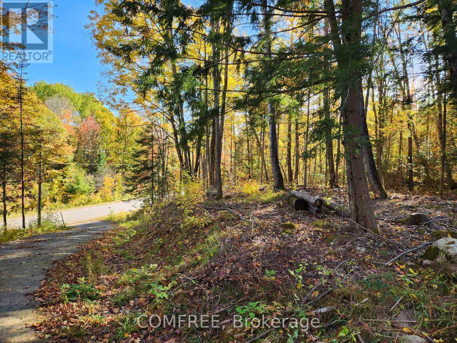 790 Mitchell Road, Madawaska Valley, ON