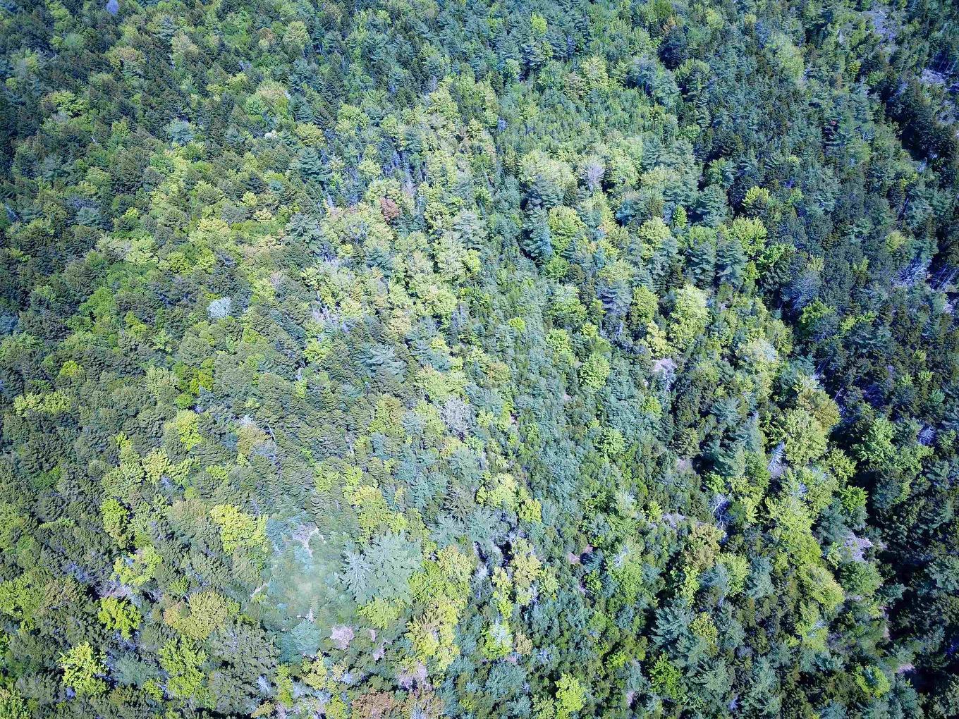 Lot 331 Highway, West Lahave, NS