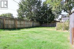 This photo has been AI enhanced. -