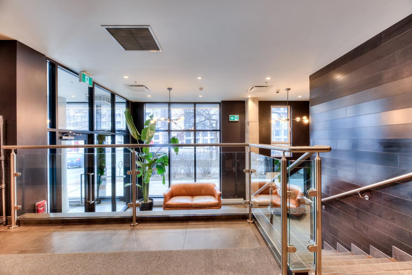 Entrée extérieure - 201-1170 Rue Montcalm, Montréal (Ville-Marie), QC - Indoor Photo Showing Other Room