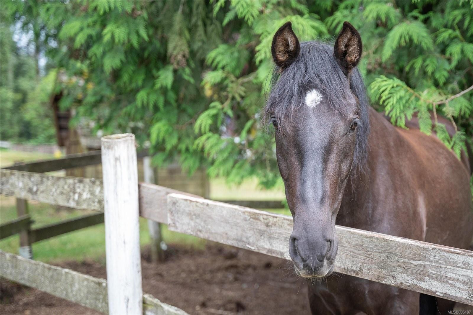 2453 East Wellington Rd, Nanaimo, BC