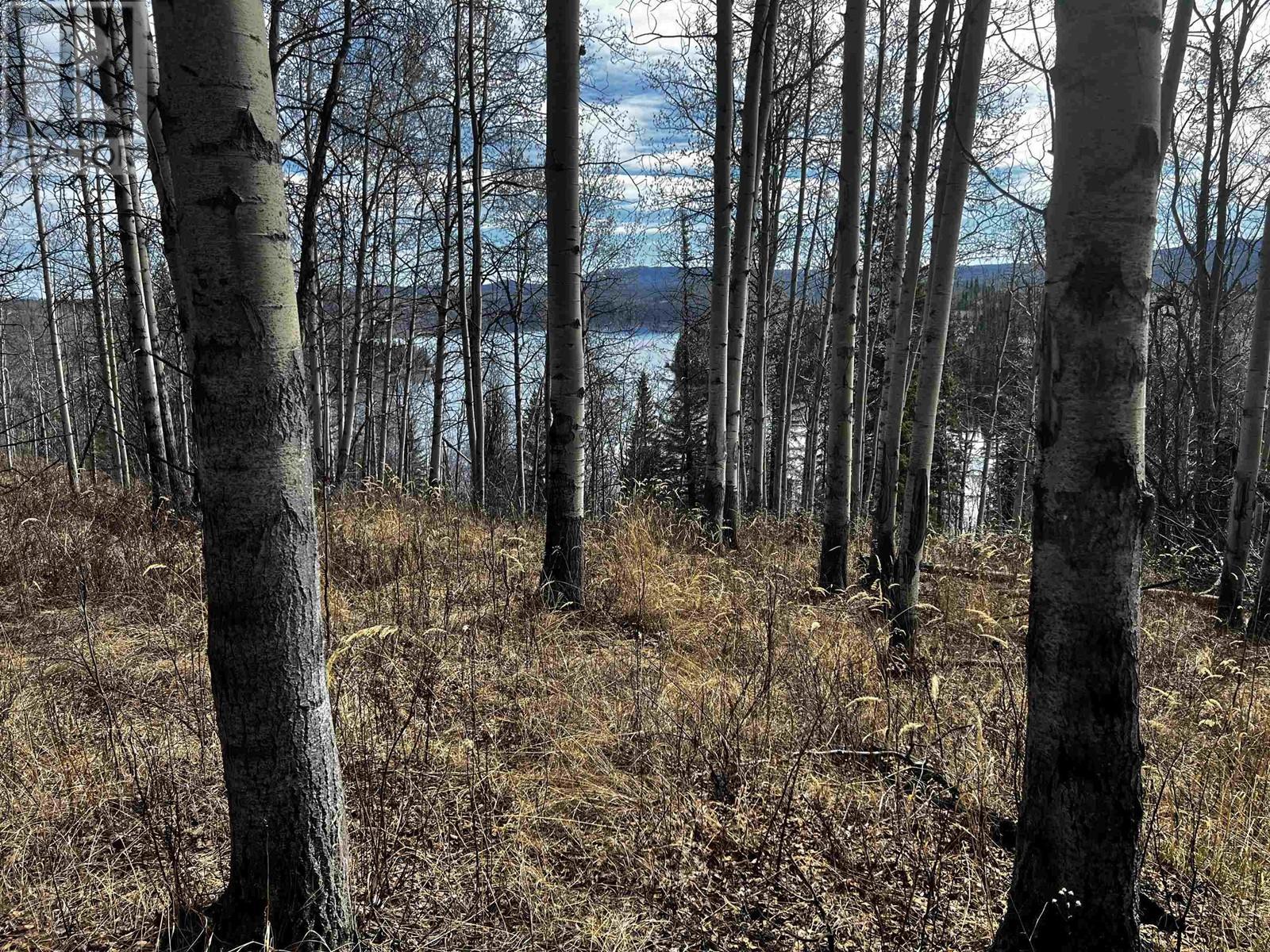 Blk 1 W Colleymount Road, Burns Lake, BC