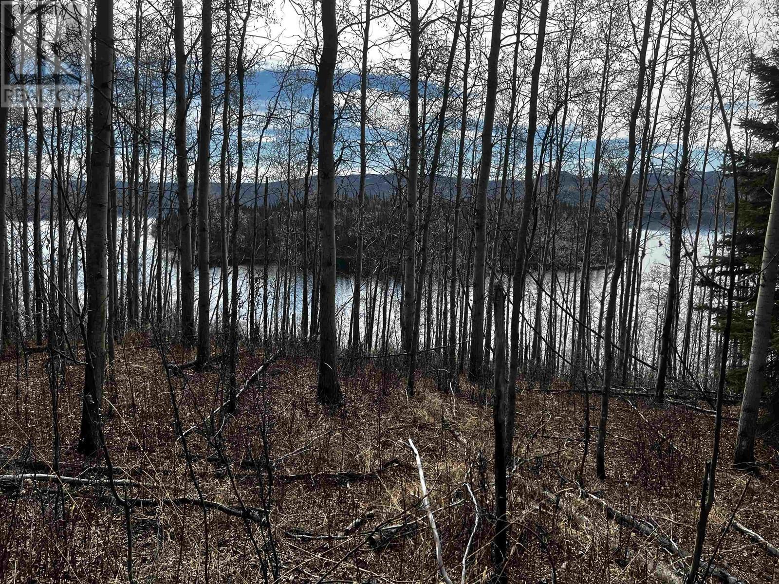 Blk 1 W Colleymount Road, Burns Lake, BC