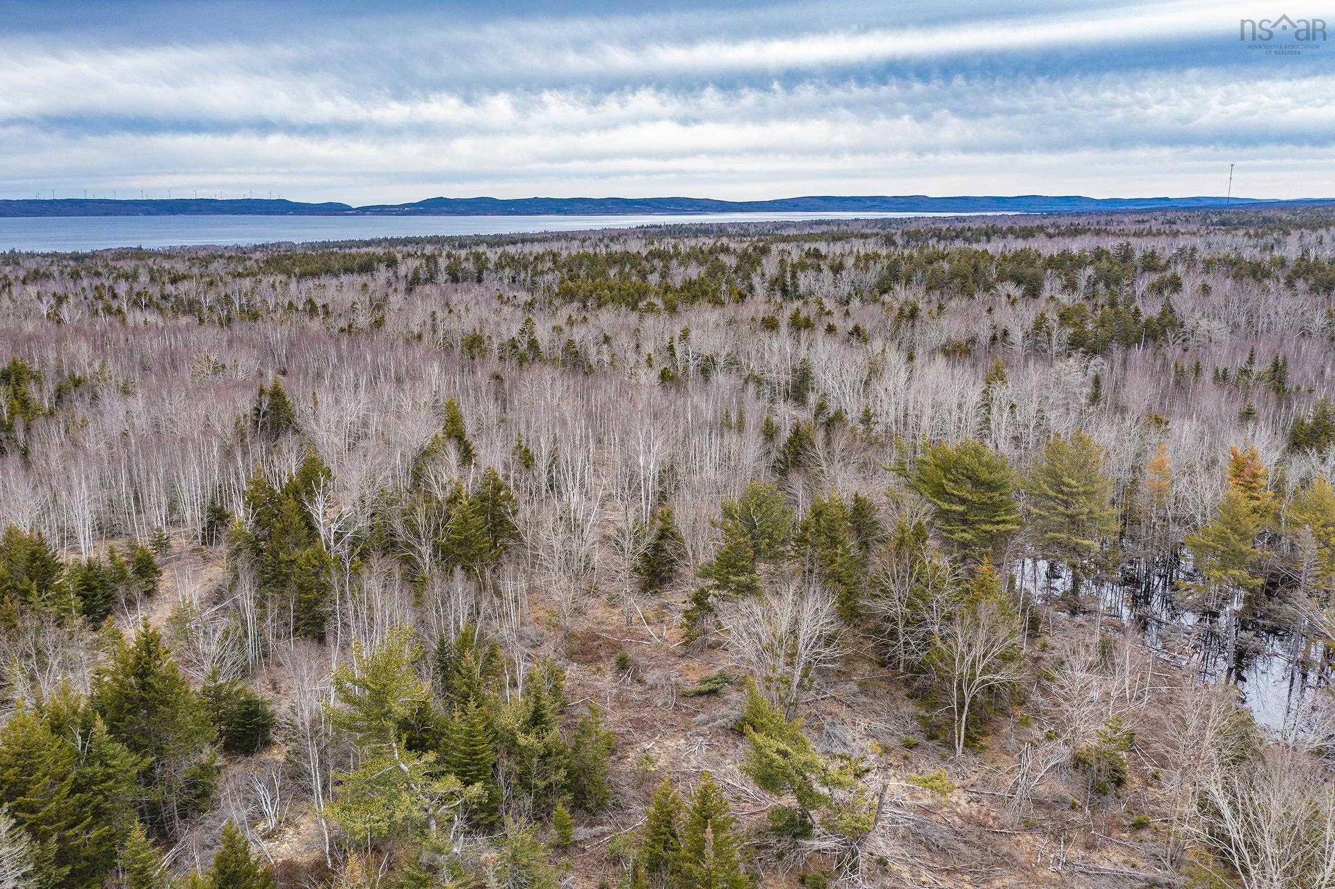 Highway 101, Plympton, NS