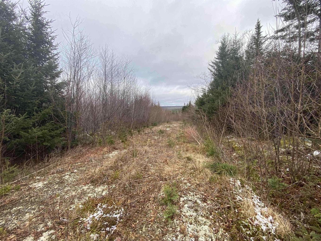 Lot 22 & 23 Trafalgar Rd Highway 374, Sheet Harbour, NS
