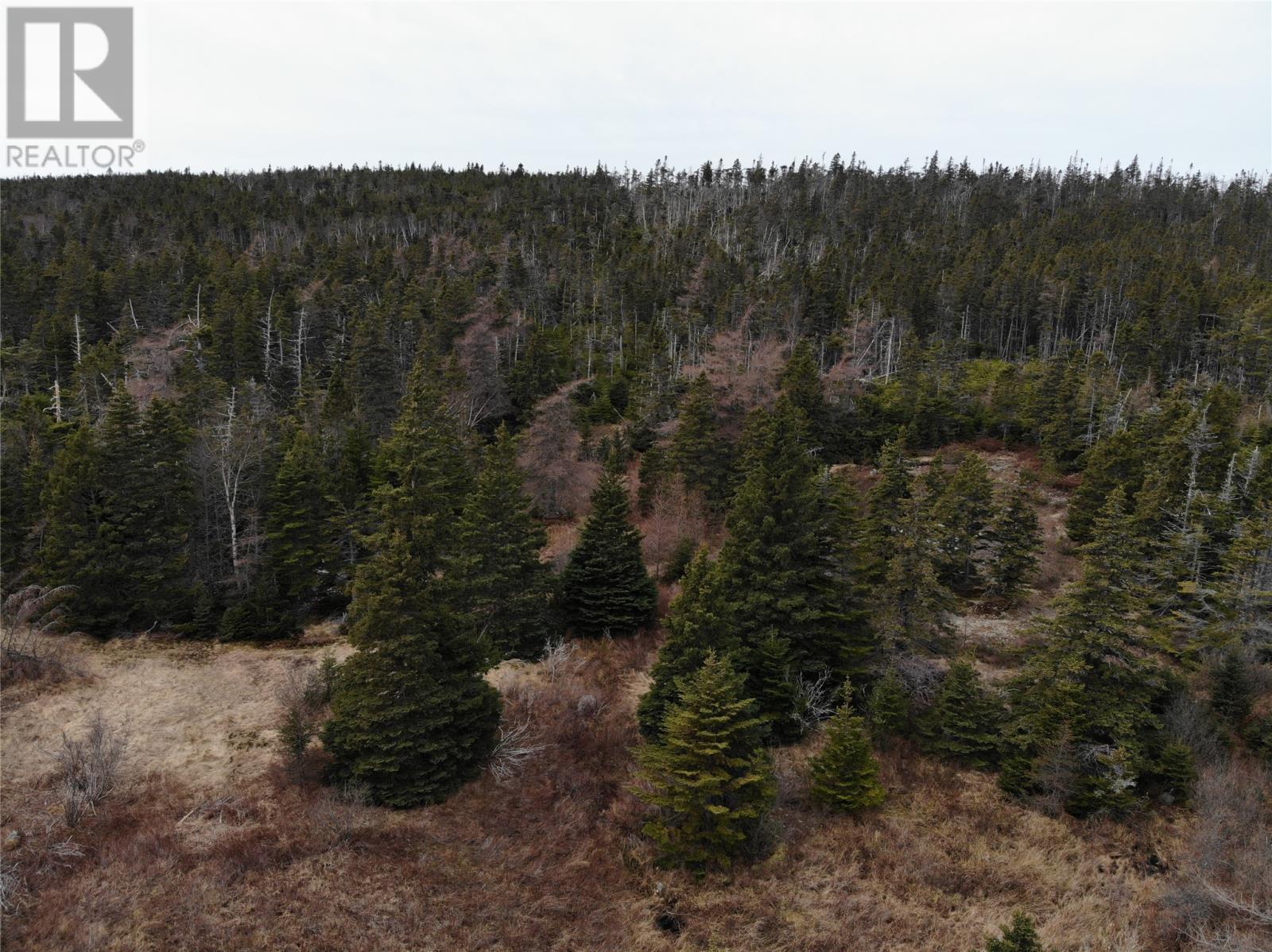 76 - 84 Conception Bay Highway, Holyrood, NL