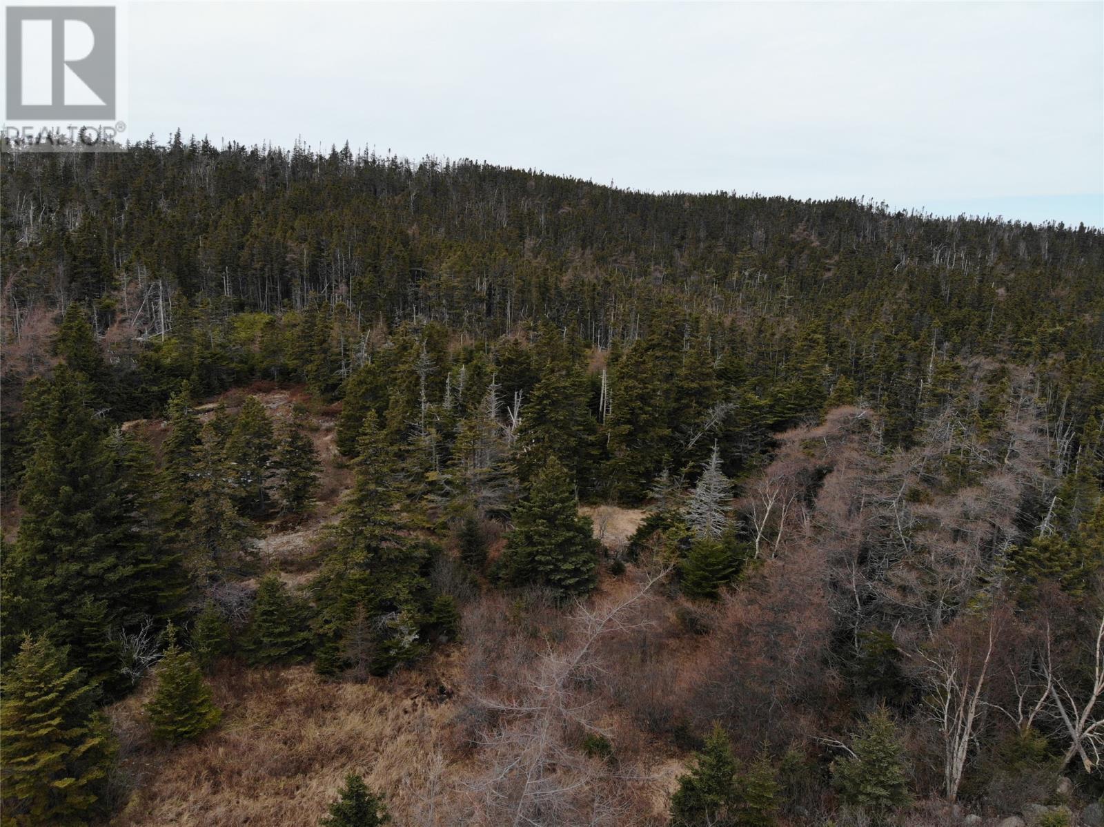 76 - 84 Conception Bay Highway, Holyrood, NL