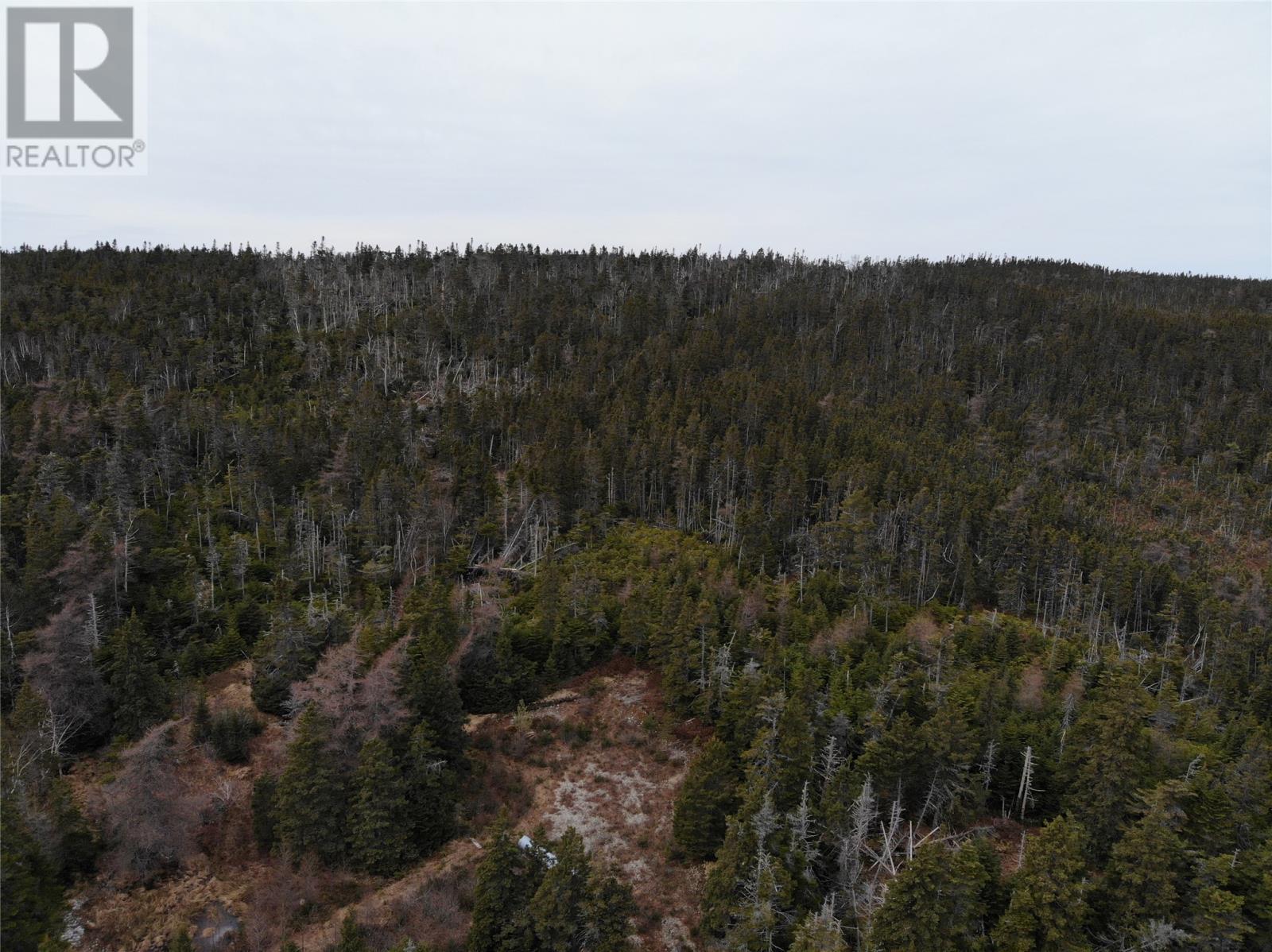 76 - 84 Conception Bay Highway, Holyrood, NL