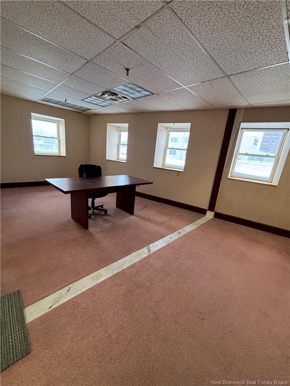 346 Queen St, Fredericton, NB