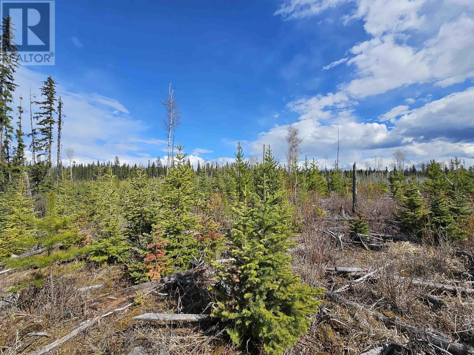 Dl 1967 Willow Cale Fs Road, Prince George, BC