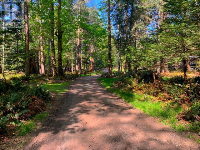 1157 Tennyson Rd, Savary Island, BC - Outdoor With View