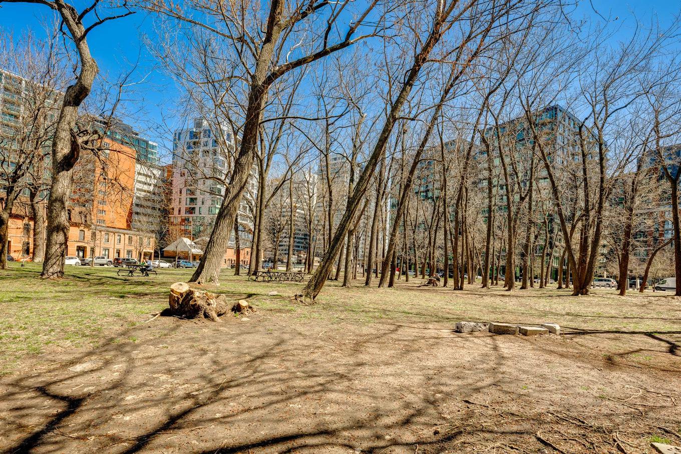 Autre - 117-170 Rue Rioux, Montréal (Le Sud-Ouest), QC - Outdoor With View